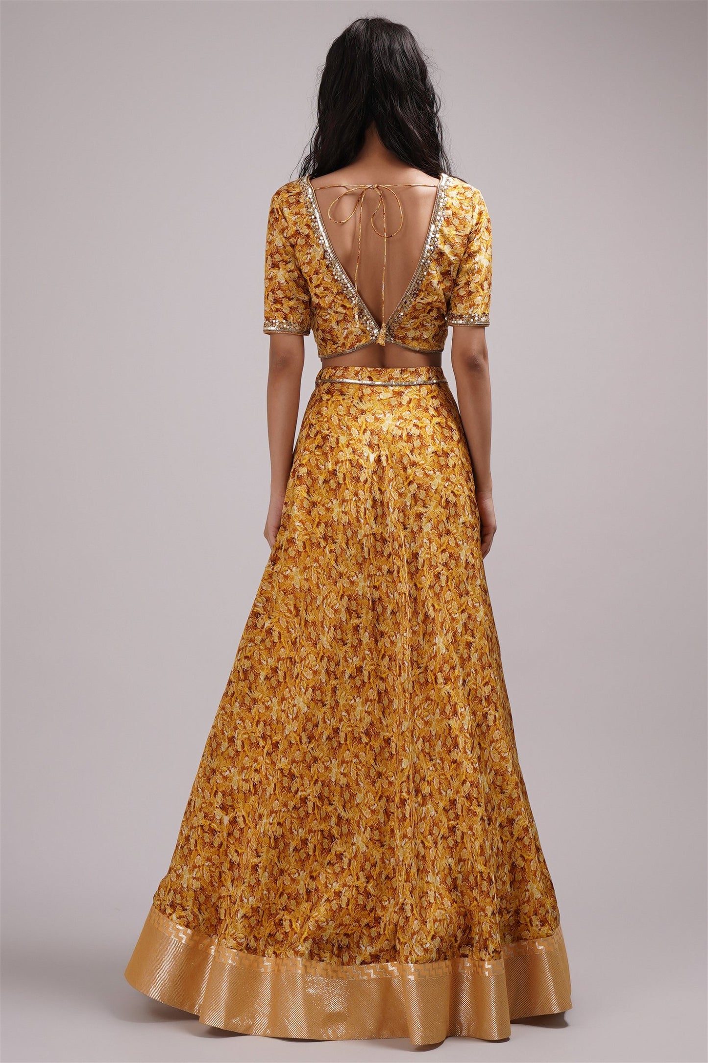 Deep V Neck Blouse Lehenga Set