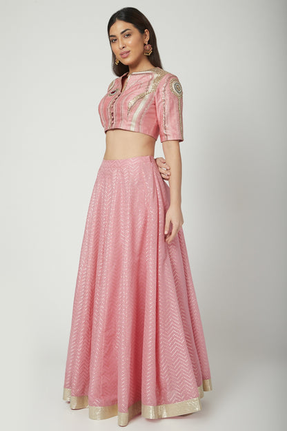 Blush Pink Embroidered Crop Top With Skirt