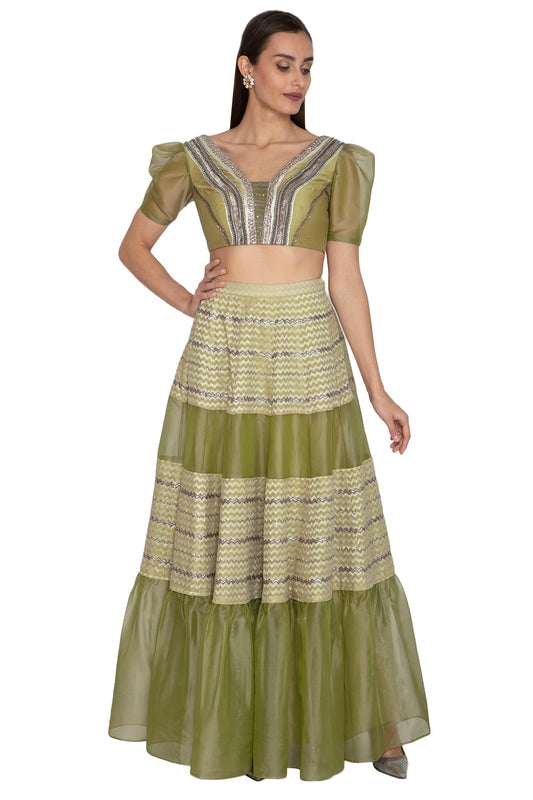 Olive Green Embroidered Blouse With Lehenga Skirt